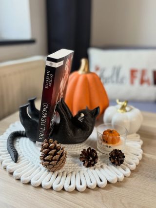 Tyhle kočičky už na eshopu čekají na své majitele. 🐱🐱 Pořiď si skvělý odkládací na knihy Mňau Mňau 🩷 #knihy #kniznitipy...